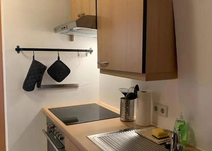 Center Golden Roof 4 因斯布鲁克